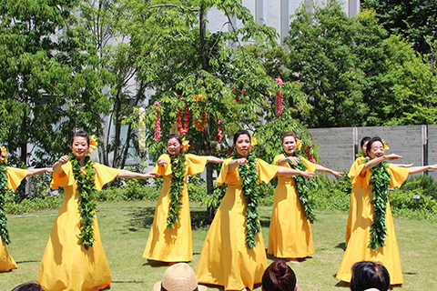 第5回太平洋文化芸術祭イメージ