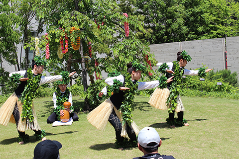 第5回太平洋文化芸術祭イメージ